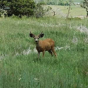 Meet your Posher, Tammy